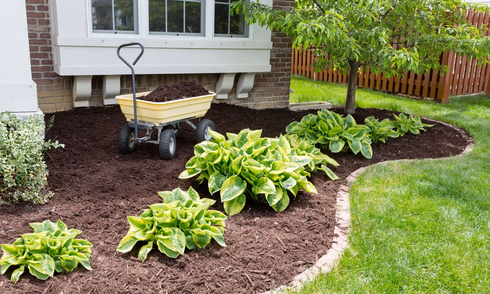 DG Picture Perfect Landscaping in Cuyahoga & Geauga Counties, Ohio