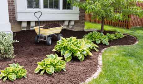 DG Picture Perfect Landscaping in Cuyahoga & Geauga Counties, Ohio