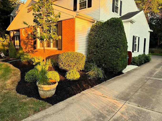 Freshly mulched landscape bed with trimmed shrubs and planting design along a home walkway in Northeast Ohio