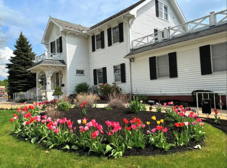 Colorful spring landscaping with fresh mulch and blooming tulips in Shaker Heights, Ohio