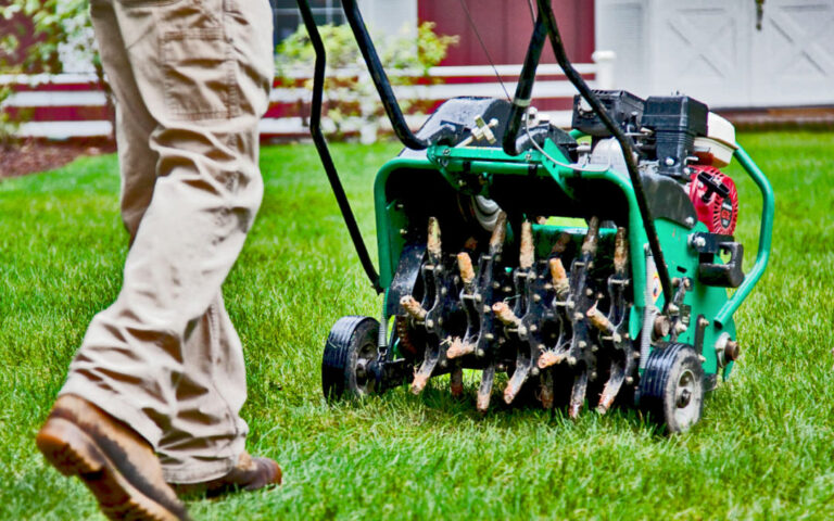 Lawn aeration, dethatching and overseeding services in Cuyahoga County, Ohio by DG Picture Perfect Landscaping