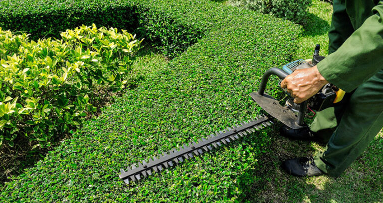 Hedge trimming services in Cuyahoga County, Ohio by DG Picture Perfect Landscaping