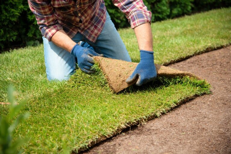 New lawn installation by sod in Cuyahoga County, Ohio by DG Picture Perfect Landscaping