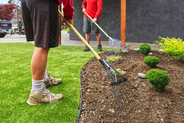 Yard cleanup and leaf removal services in Cuyahoga County, Ohio by DG Picture Perfect Landscaping