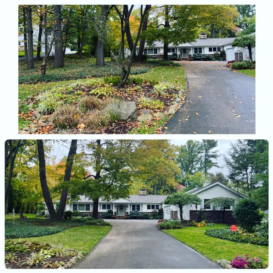 Fall yard cleanup along a driveway circle bed, before and after