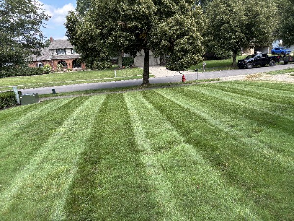 Freshly striped lawn mowing by DG Picture Perfect Landscaping